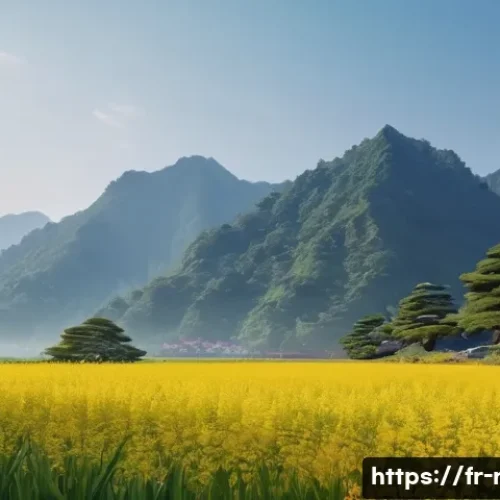 방사선 검사 안전 수칙 관련 이미지 1