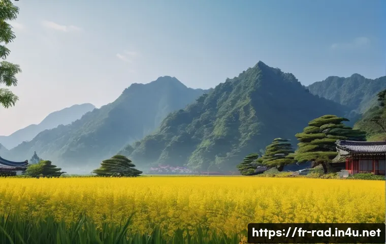 방사선 검사 안전 수칙 관련 이미지 1